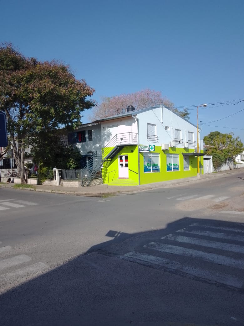 WhatsApp Image 2024-08-19 at 09.29.52